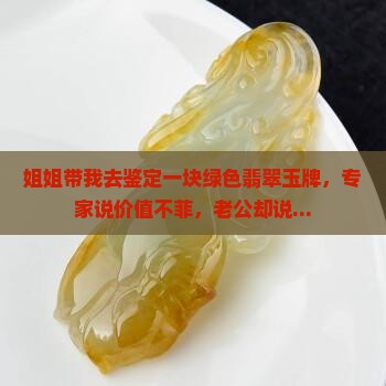 姐姐带我去鉴定一块绿色翡翠玉牌，专家说价值不菲，老公却说...