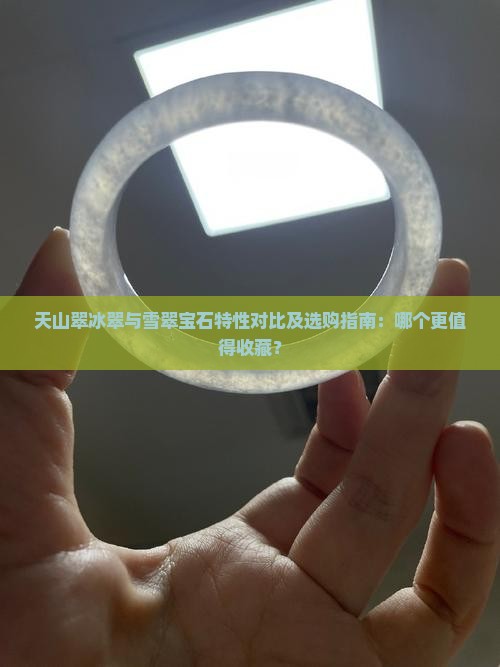 天山翠冰翠与雪翠宝石特性对比及选购指南：哪个更值得收藏？