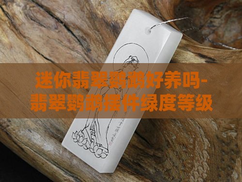 迷你翡翠鹦鹉好养吗-翡翠鹦鹉摆件绿度等级