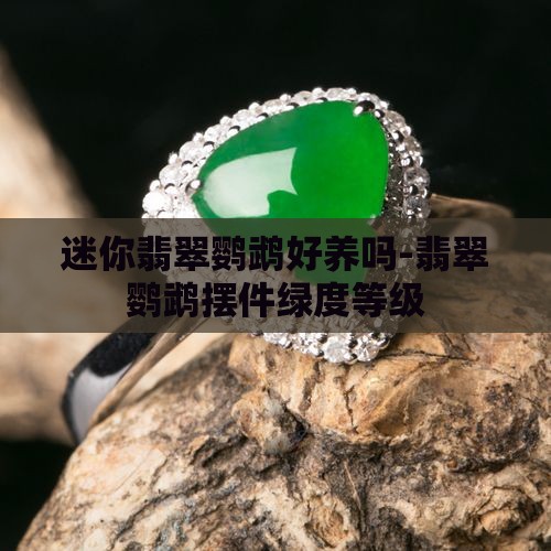 迷你翡翠鹦鹉好养吗-翡翠鹦鹉摆件绿度等级