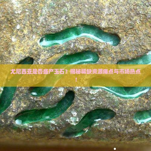 尤尼西亚是否盛产玉石？揭秘稀缺资源痛点与市场热点！