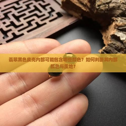 翡翠黑色皮壳内部可能包含哪些颜色？如何判断其内部颜色与质地？