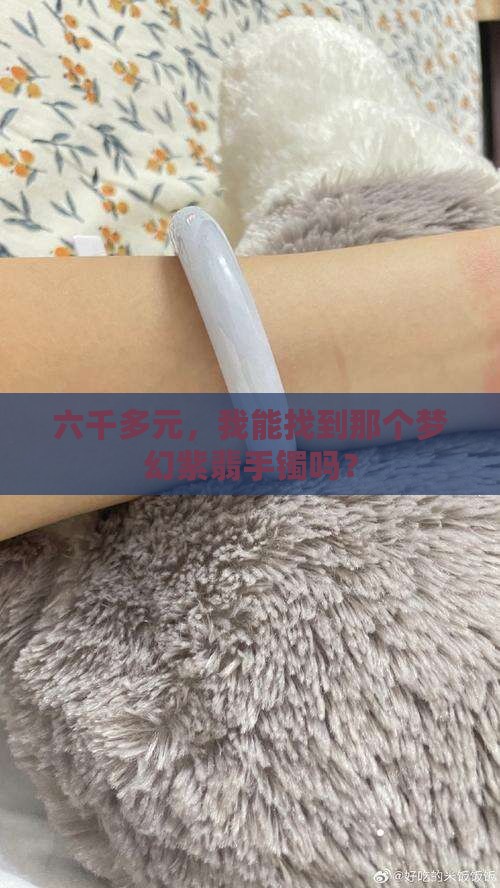 六千多元，我能找到那个梦幻紫翡手镯吗？