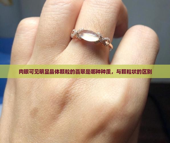 肉眼可见明显晶体颗粒的翡翠是哪种种质，与颗粒状的区别