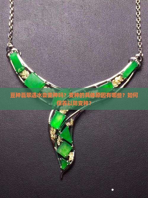 豆种翡翠遇水会变种吗？变种的具体原因有哪些？如何保养以防变种？