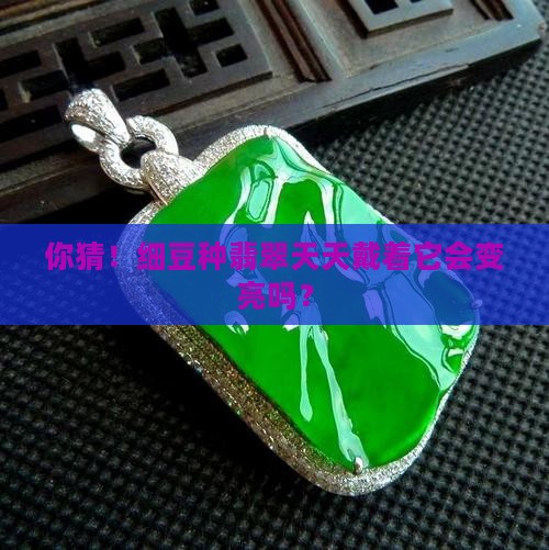 你猜！细豆种翡翠天天戴着它会变亮吗？