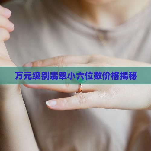 万元级别翡翠小六位数价格揭秘