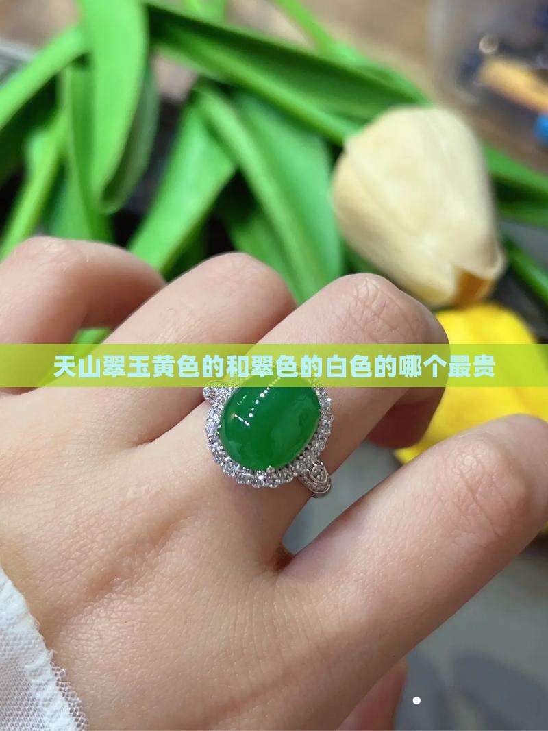 天山翠玉黄色的和翠色的白色的哪个最贵