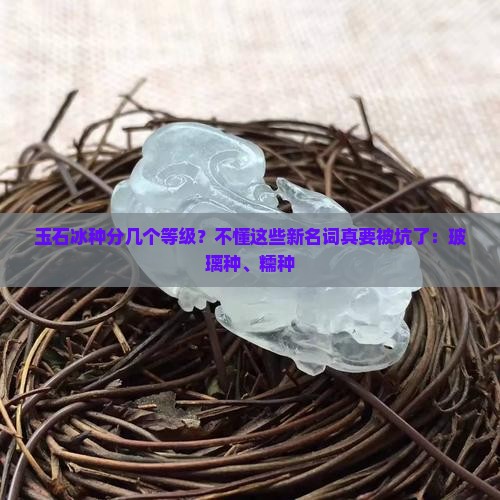玉石冰种分几个等级？不懂这些新名词真要被坑了：玻璃种、糯种