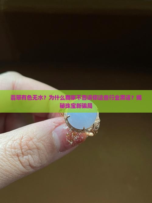 翡翠有色无水？为什么商家不告诉你这些行业黑话？揭秘珠宝新骗局