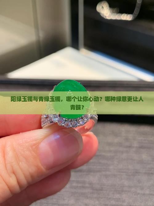 阳绿玉镯与青绿玉镯，哪个让你心动？哪种绿意更让人青睐？