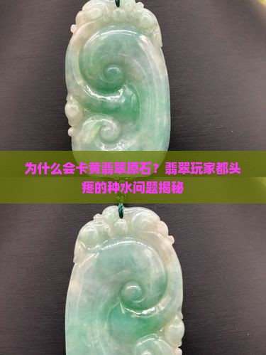 为什么会卡黄翡翠原石？翡翠玩家都头疼的种水问题揭秘