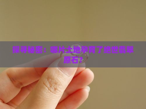 探寻秘密：哪片土地孕育了绝世翡翠原石？