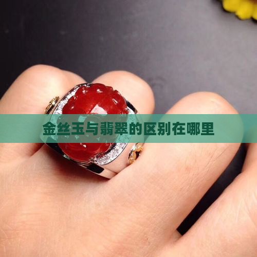 金丝玉和翡翠区分在哪里
