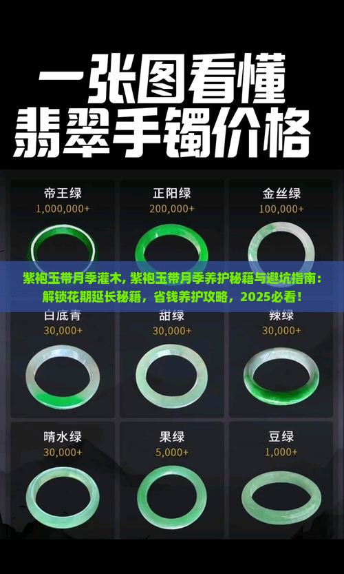 紫袍玉带月季灌木