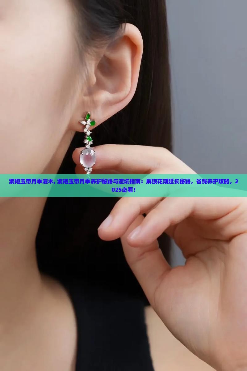 紫袍玉带月季灌木