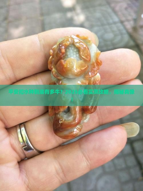 平安扣水种好吗