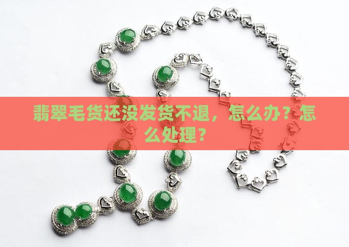 买翡翠毛货还没有发货不退怎么处理