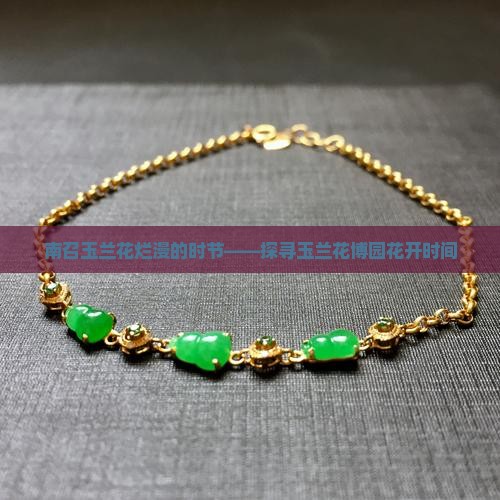 南召玉兰花烂漫的时节
