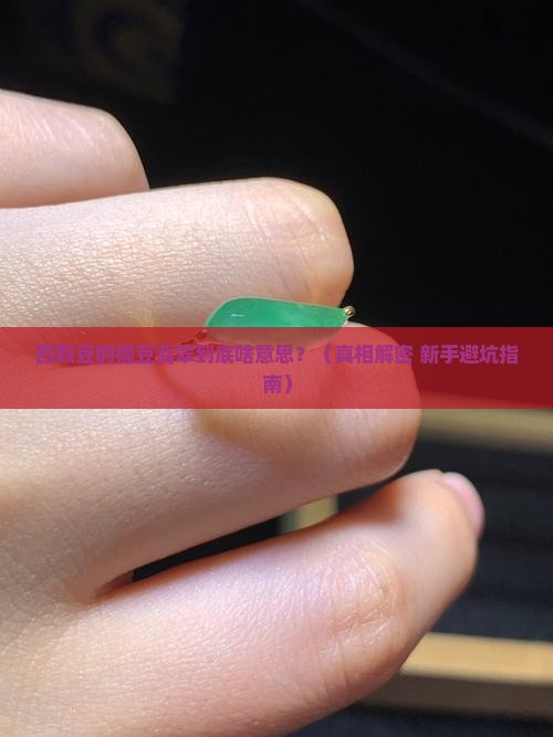 四颗豆的福豆翡翠是什么