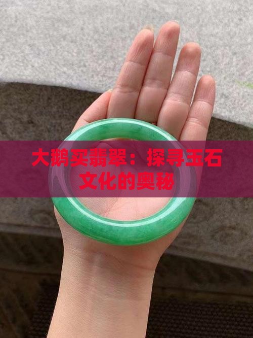大鹅买翡翠
