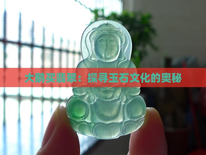 大鹅买翡翠
