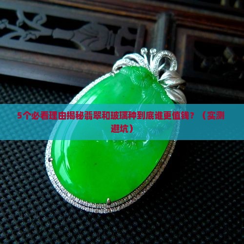 翡翠和玻璃种的价格