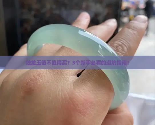 独龙玉有收藏价值吗