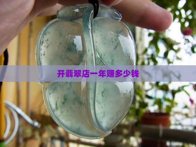 开翡翠店一年赚多少钱