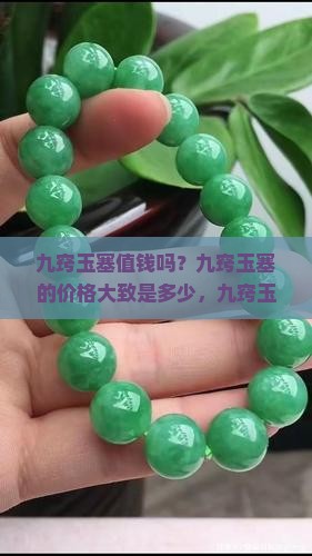 九窍玉塞值钱吗