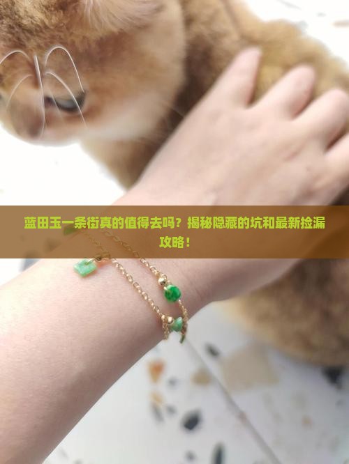 蓝田玉一条街