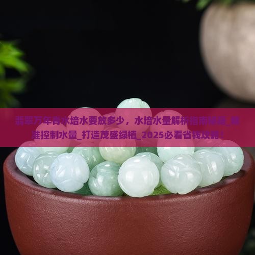翡翠万年青水培水要放多少