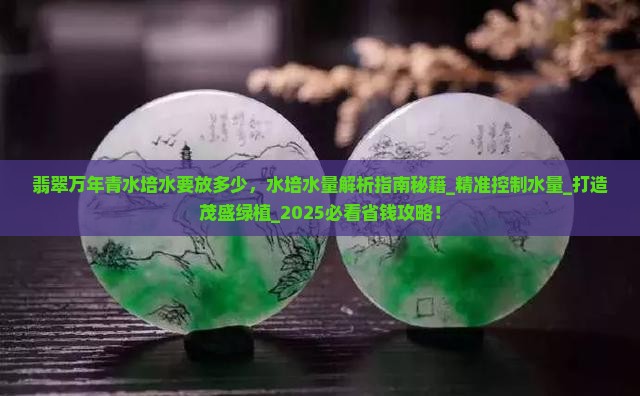 翡翠万年青水培水要放多少