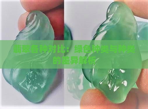 翡翠各种对比