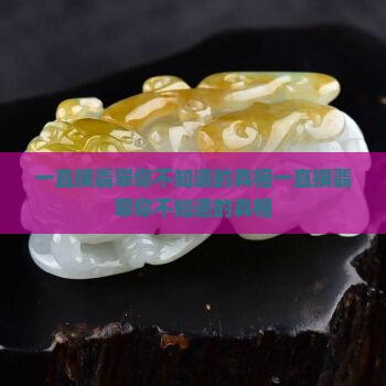 一直摸翡翠