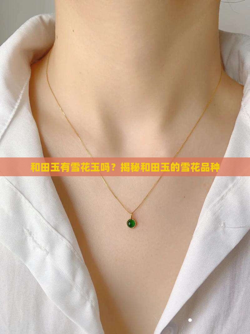和田玉有雪花玉吗