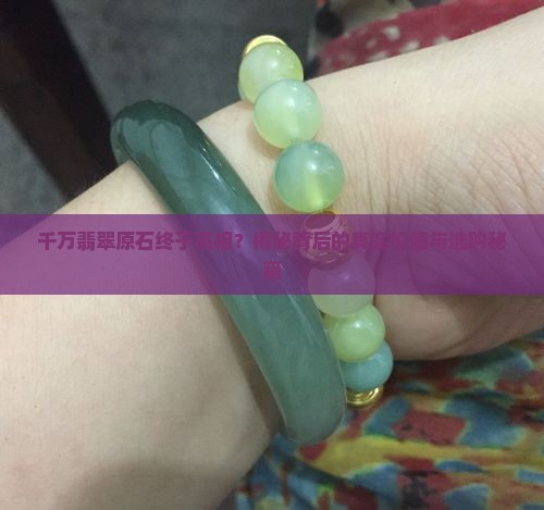 罕见翡翠原石终于亮相价值千万