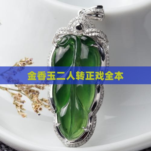 金香玉二人转正戏全本 金香玉二人转正戏全本