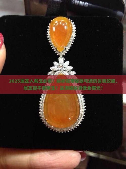 属龙能不能带玉