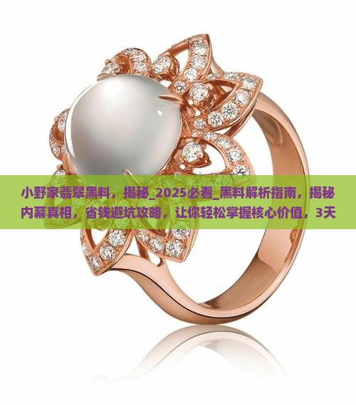 小野家翡翠黑料