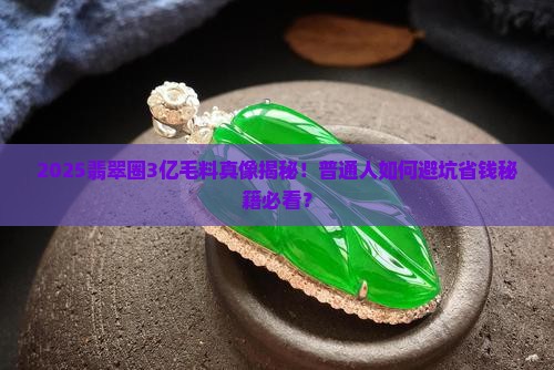 3亿翡翠毛料