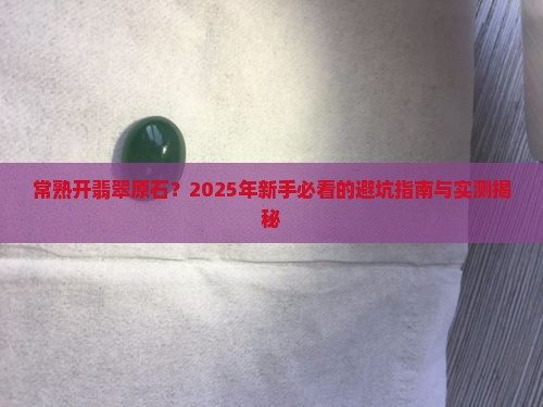 常熟开翡翠原石