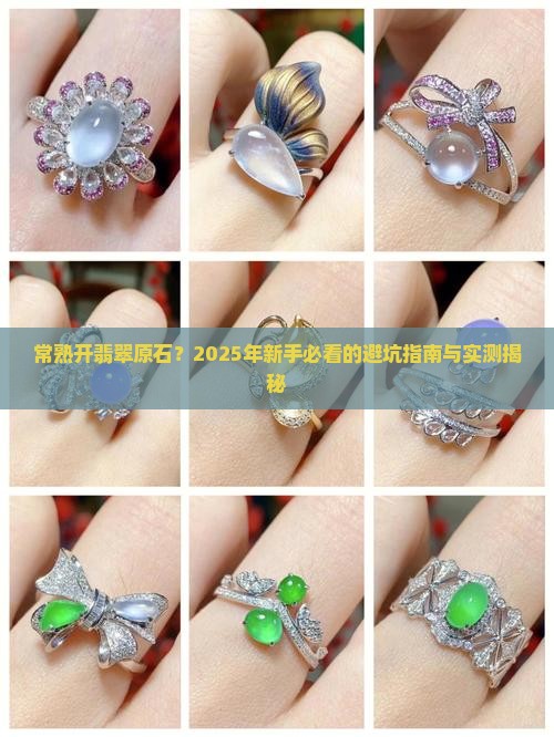 常熟开翡翠原石