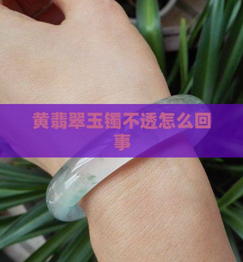 黄翡翠玉镯不透怎么回事