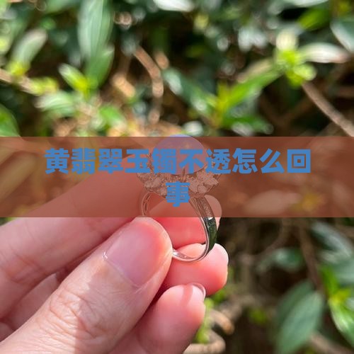 黄翡翠玉镯不透怎么回事