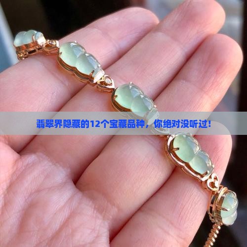 翡翠的12个品种