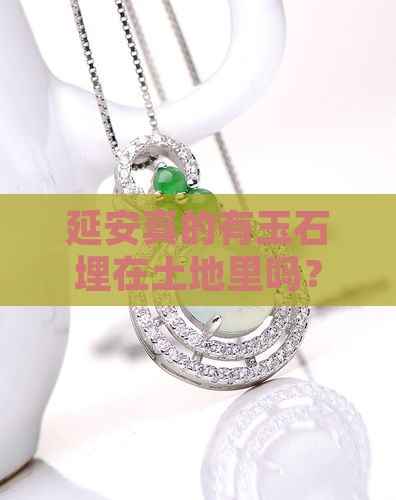 延安有玉石吗
