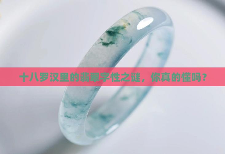 十八罗汉翡翠字性