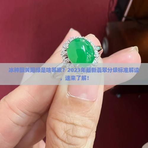 冰种飘黄阳绿是啥等级