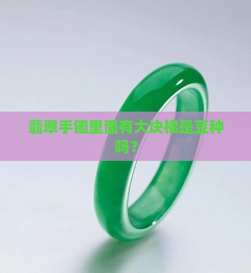 翡翠手镯里面有大块的棉是豆种吗